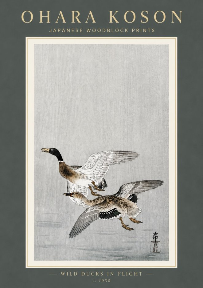 Ohara Koson Wild Ducks in Flight No6 - Juliste