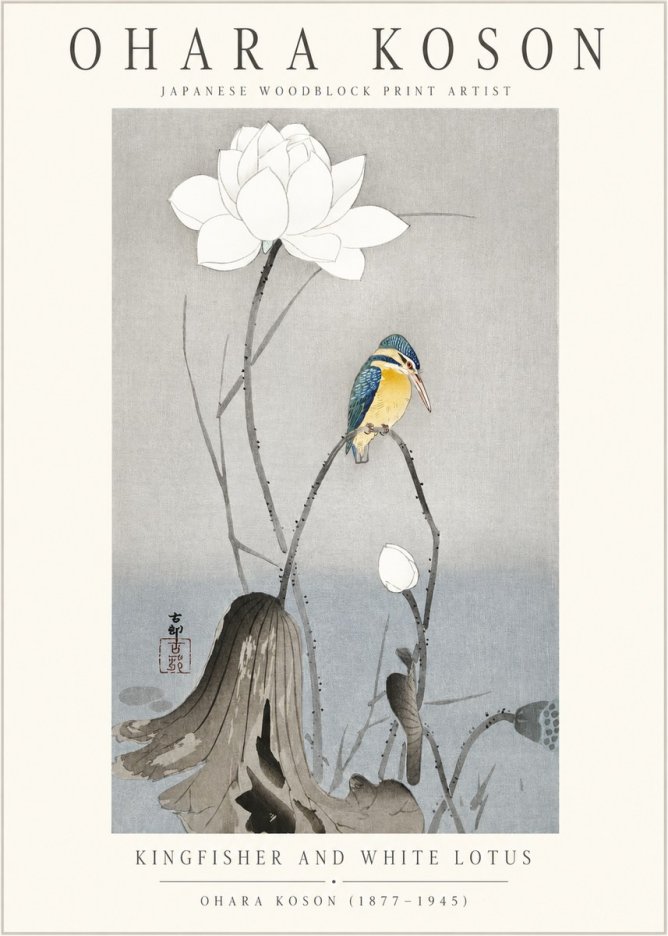 Ohara Koson Kingfisher and White Lotus No1 - Juliste
