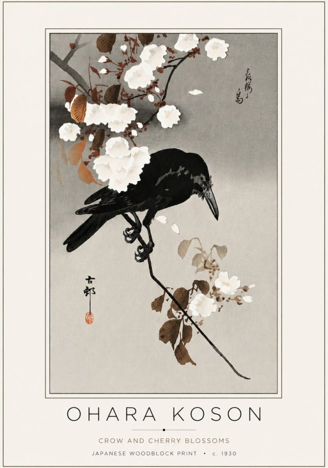 Ohara Koson Crow and Cherry Blossoms No4 - Juliste
