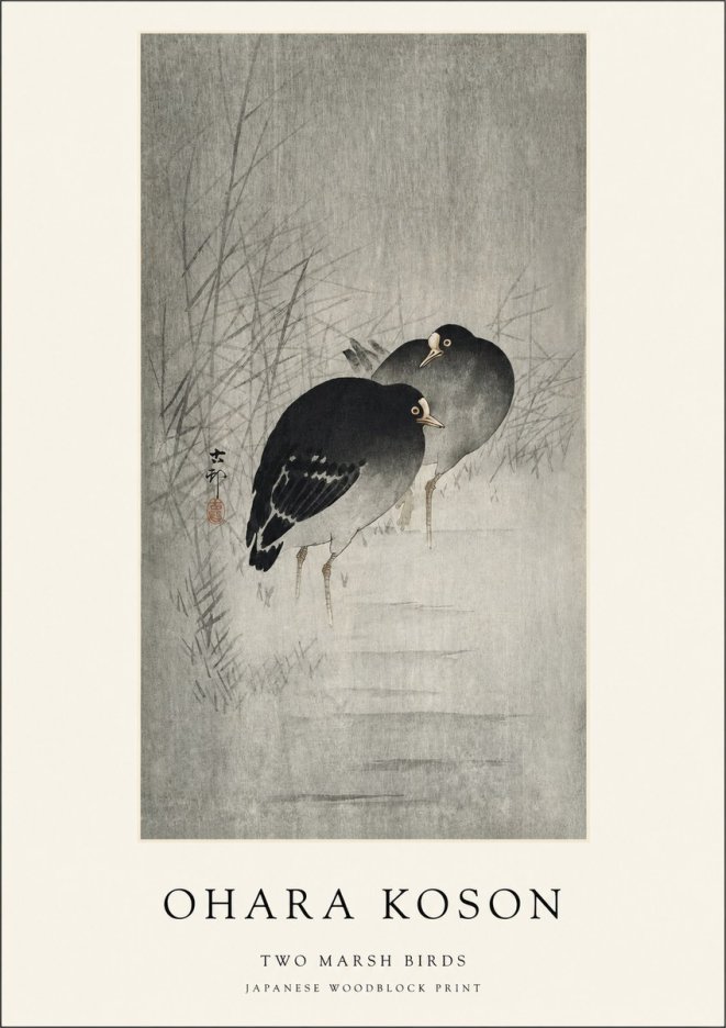 Ohara Koson Two Marsh Birds No1 - Juliste