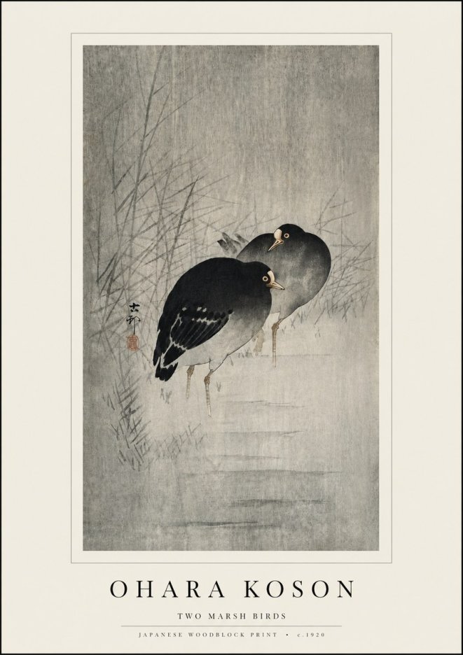 Ohara Koson Two Marsh Birds No3 - Juliste