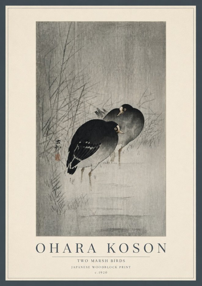 Ohara Koson Two Marsh Birds No5 - Juliste