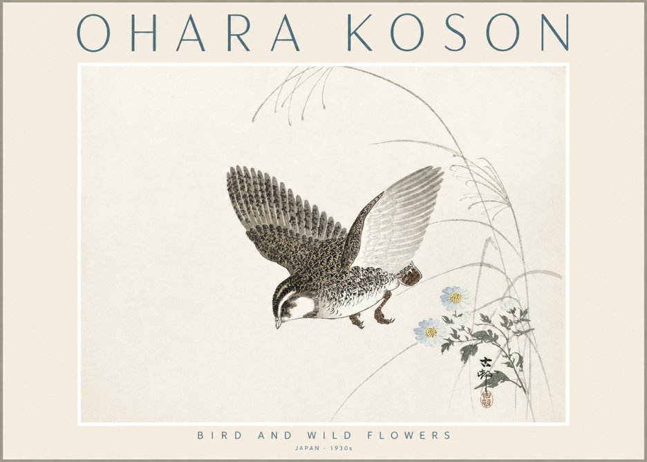 Ohara Koson Bird and Wild Flowers No2 - Juliste