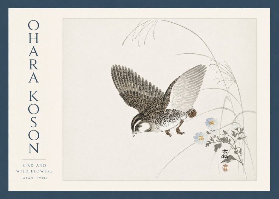 Ohara Koson Bird and Wild Flowers No3 - Juliste
