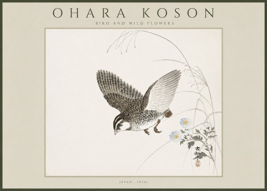 Ohara Koson Bird and Wild Flowers No4 - Juliste