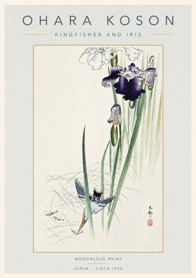 Ohara Koson Kingfisher and Iris No4 - Juliste