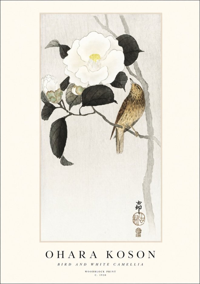 Ohara Koson Bird and White Camellia No1 - Juliste