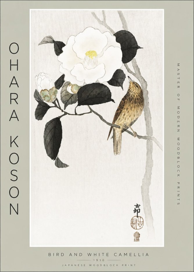 Ohara Koson Bird and White Camellia No2 - Juliste