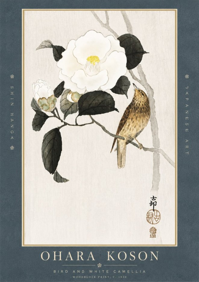 Ohara Koson Bird and White Camellia No3 - Juliste
