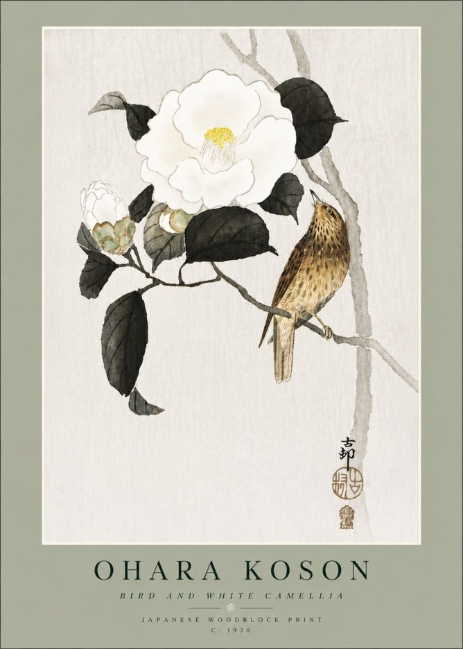Ohara Koson Bird and White Camellia No4 - Juliste