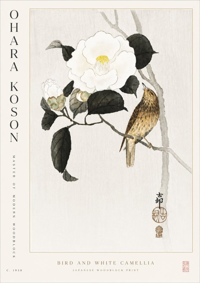 Ohara Koson Bird and White Camellia No5 - Juliste