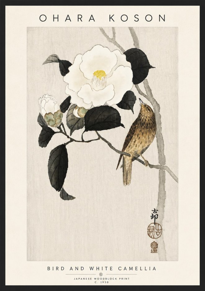 Ohara Koson Bird and White Camellia No6 - Juliste