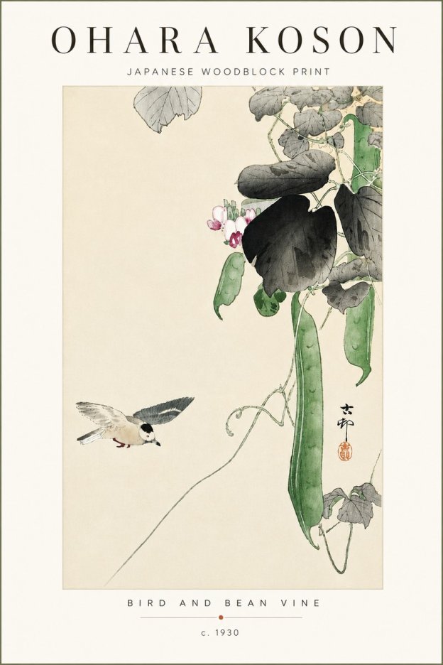 Ohara Koson Bird and Bean Vine No4 - Juliste