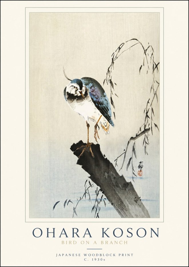 Ohara Koson Bird on a Branch III No3 - Juliste