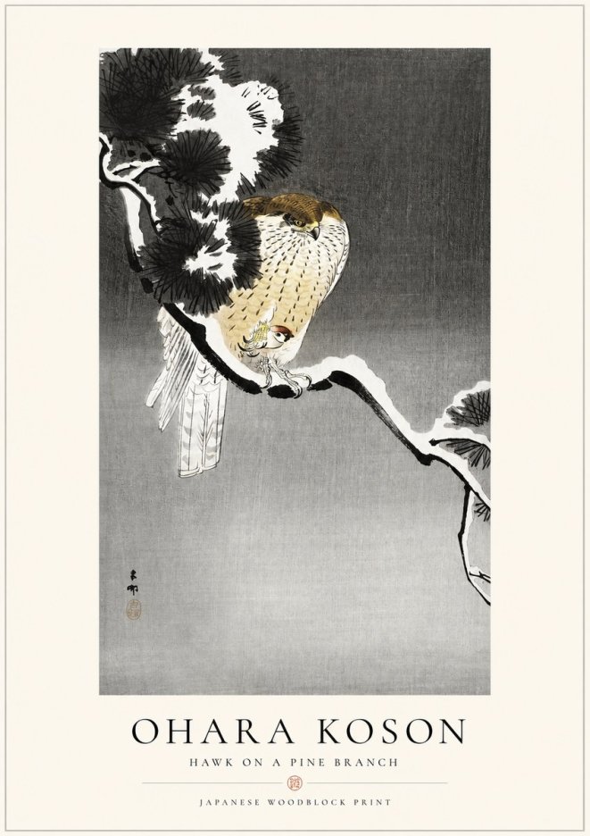 Ohara Koson Hawk on a Pine Branch No1 - Juliste