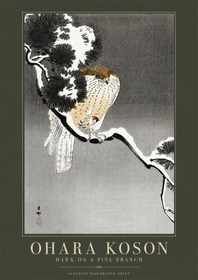 Ohara Koson Hawk on a Pine Branch No2 - Juliste