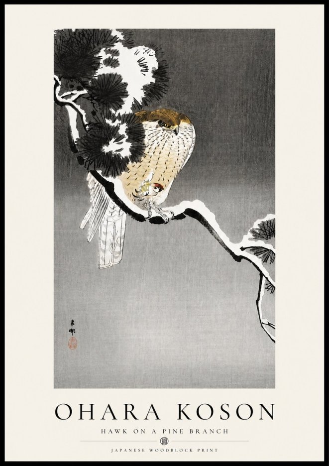 Ohara Koson Hawk on a Pine Branch No4 - Juliste