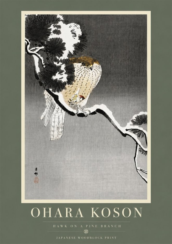 Ohara Koson Hawk on a Pine Branch No5 - Juliste