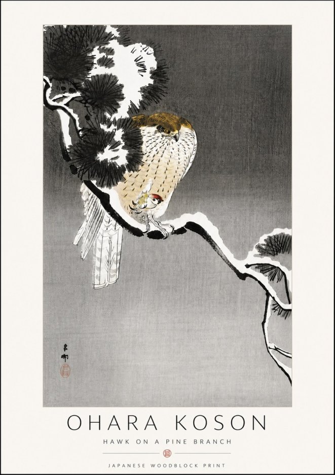 Ohara Koson Hawk on a Pine Branch No6 - Juliste