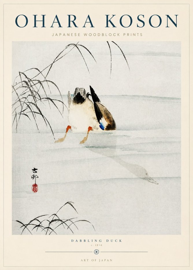 Ohara Koson Dabbling Duck No3 - Juliste
