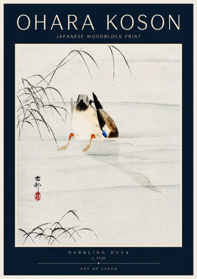 Ohara Koson Dabbling Duck No4 - Juliste