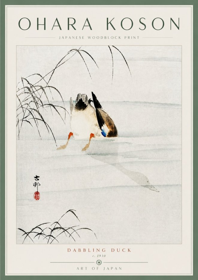 Ohara Koson Dabbling Duck No5 - Juliste