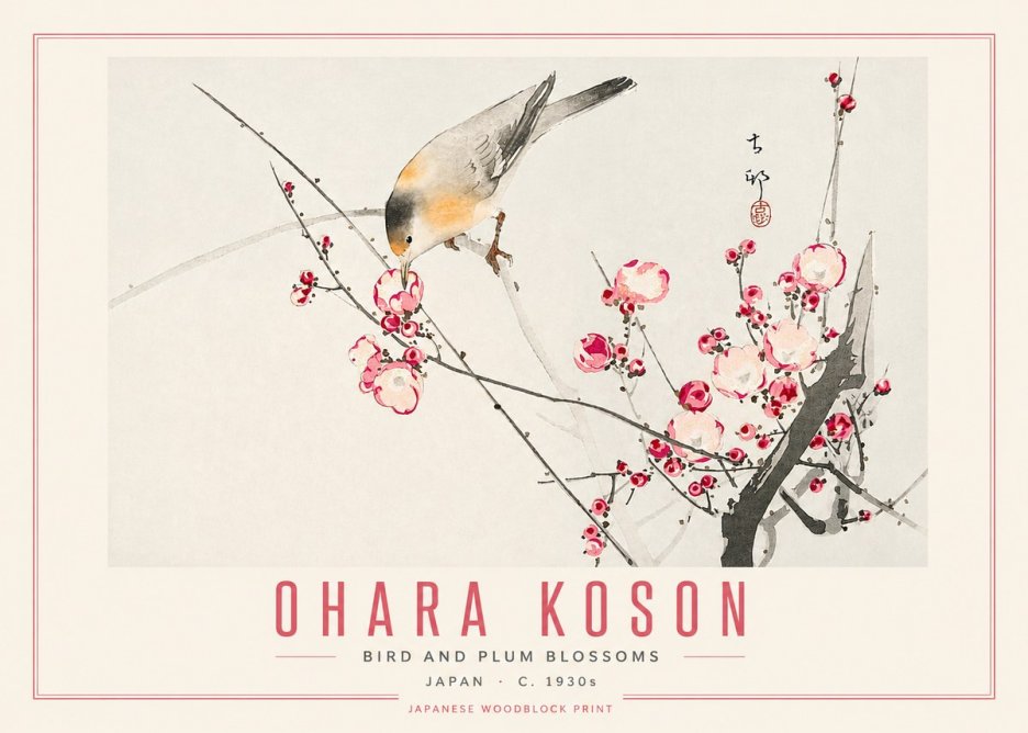 Ohara Koson Bird and Plum Blossoms No5 - Juliste
