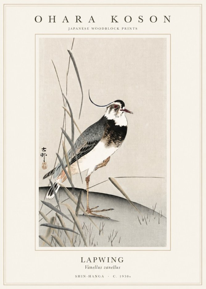 Ohara Koson Lapwing No1 - Juliste