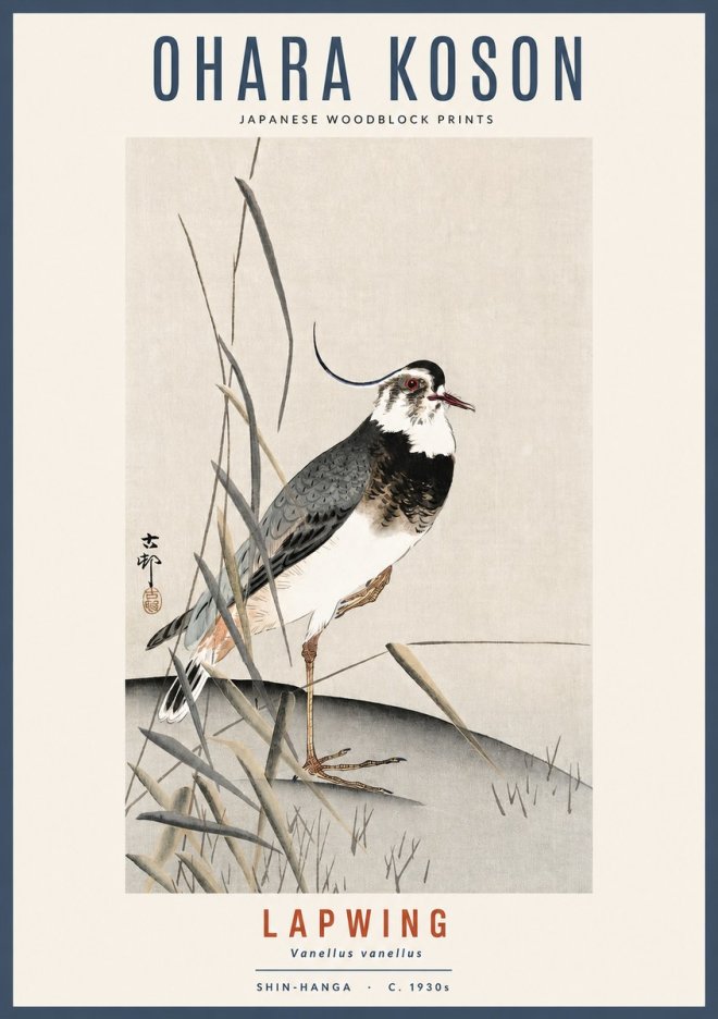 Ohara Koson Lapwing No2 - Juliste