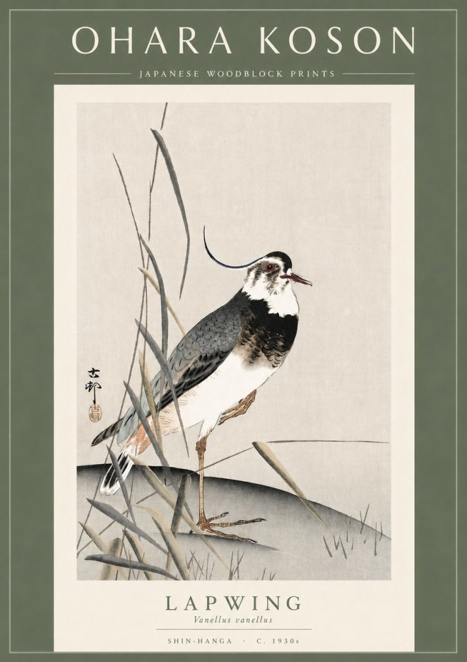 Ohara Koson Lapwing No3 - Juliste