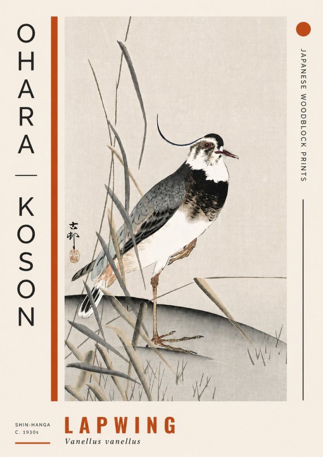 Ohara Koson Lapwing No4 - Juliste