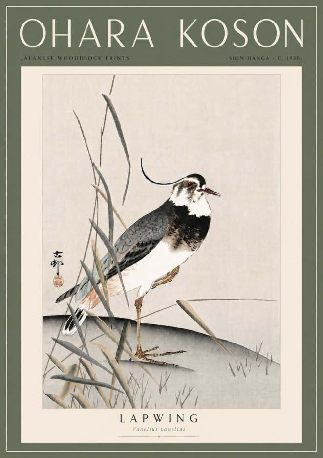 Ohara Koson Lapwing No6 - Juliste
