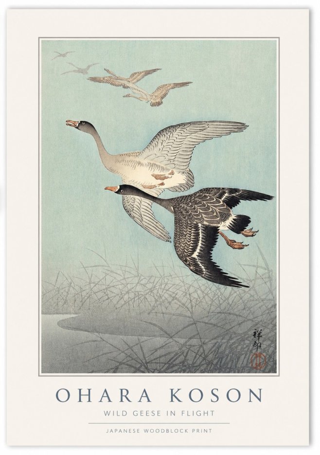 Ohara Koson Wild Geese in Flight II No1 - Juliste