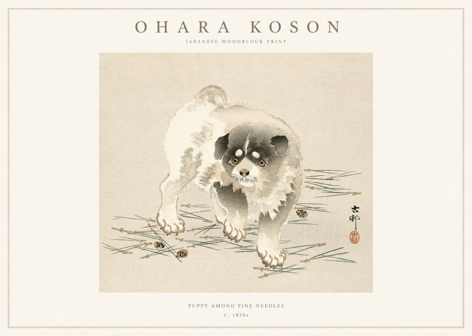 Ohara Koson Puppy Among Pine Needles No1 - Juliste