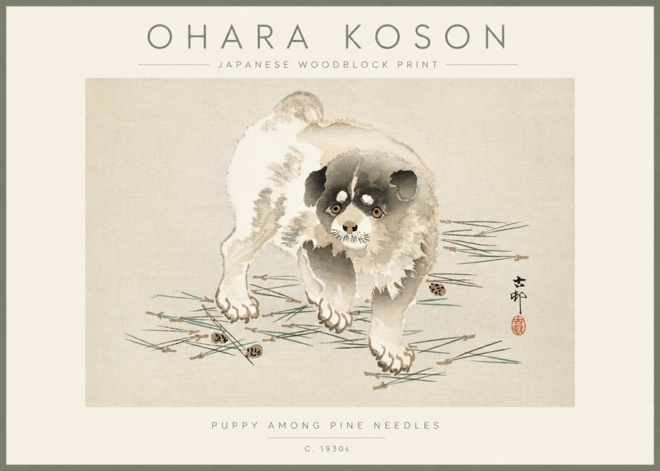 Ohara Koson Puppy Among Pine Needles No3 - Juliste