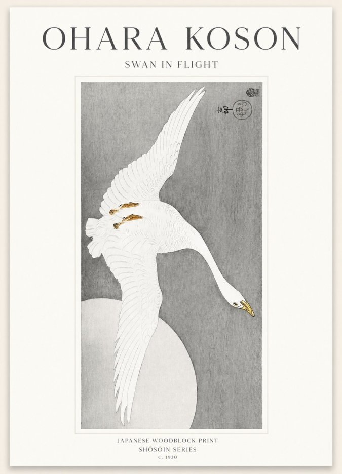 Ohara Koson Swan in Flight No1 - Juliste