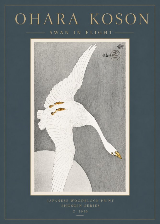 Ohara Koson Swan in Flight No3 - Juliste