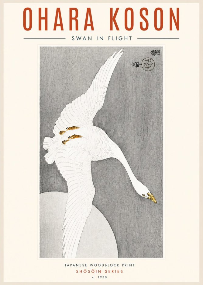 Ohara Koson Swan in Flight No4 - Juliste