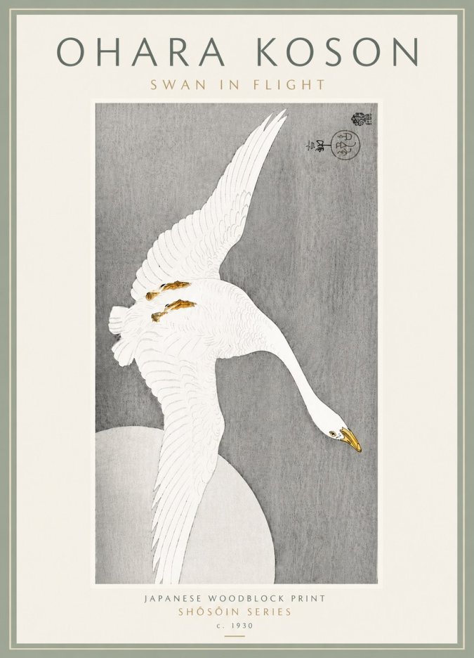 Ohara Koson Swan in Flight No6 - Juliste