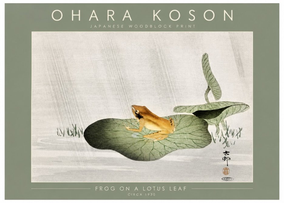 Ohara Koson Frog on a Lotus Leaf No2 - Juliste