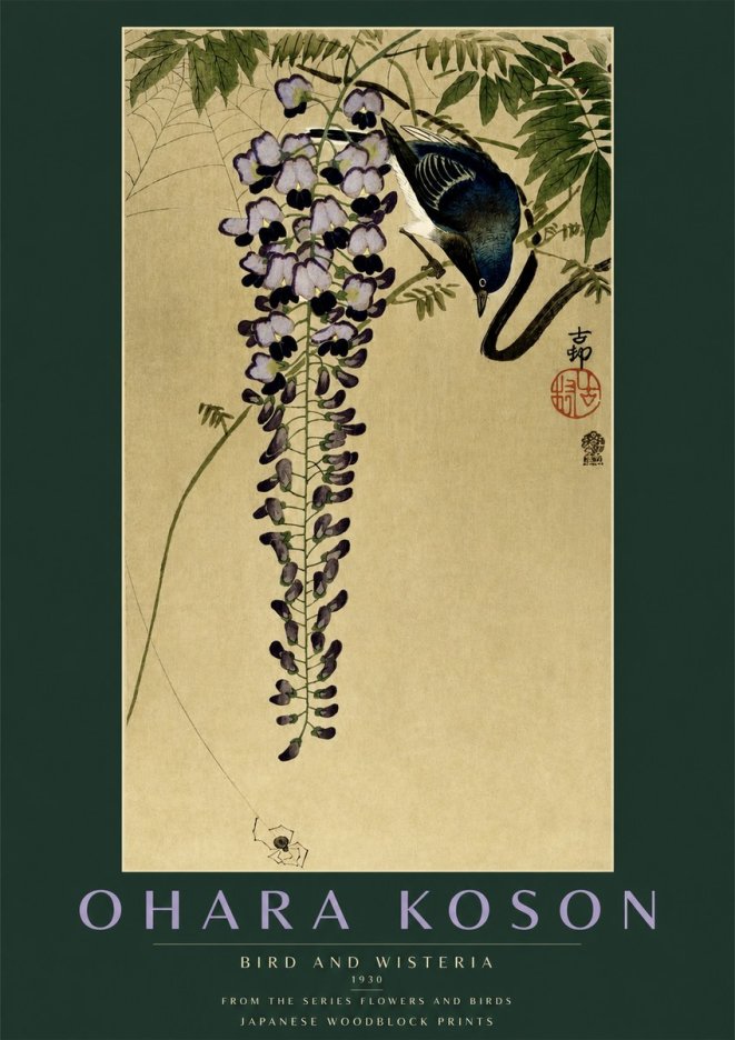 Ohara Koson Bird and Wisteria No2 - Juliste