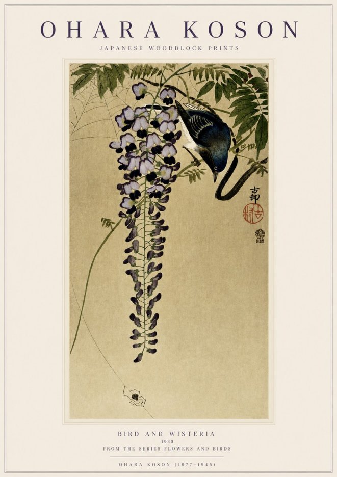 Ohara Koson Bird and Wisteria No3 - Juliste