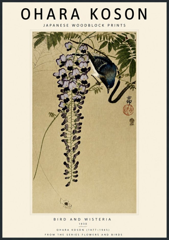 Ohara Koson Bird and Wisteria No5 - Juliste