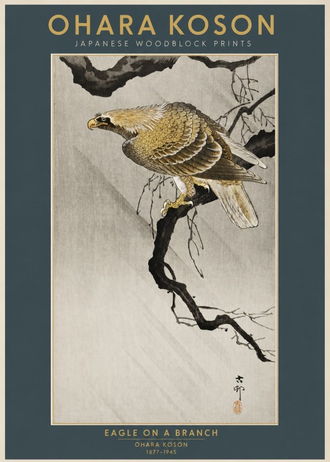 Ohara Koson Eagle on a Branch II No2 - Juliste