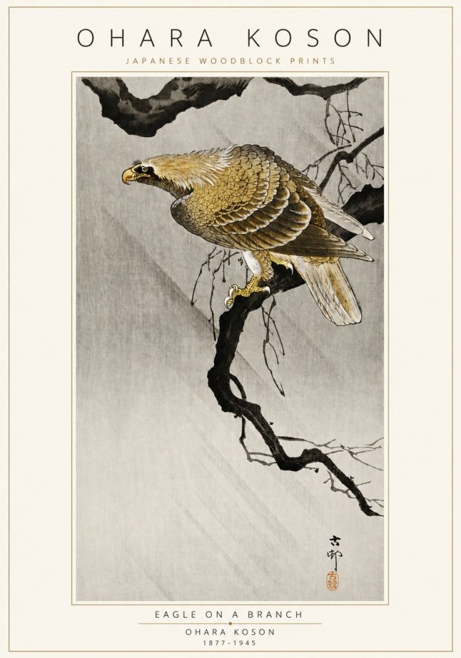 Ohara Koson Eagle on a Branch II No3 - Juliste