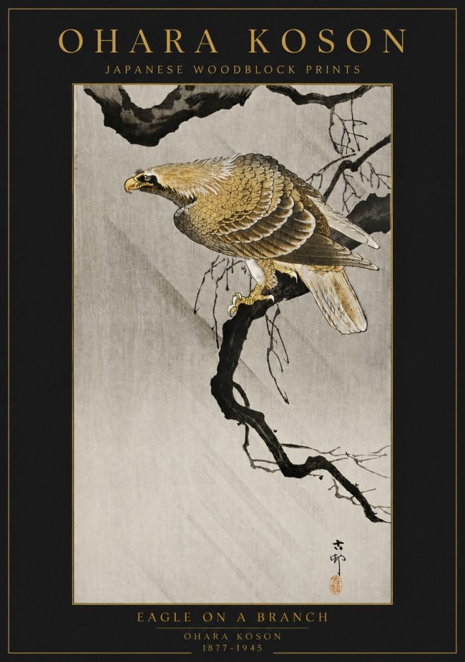 Ohara Koson Eagle on a Branch II No6 - Juliste