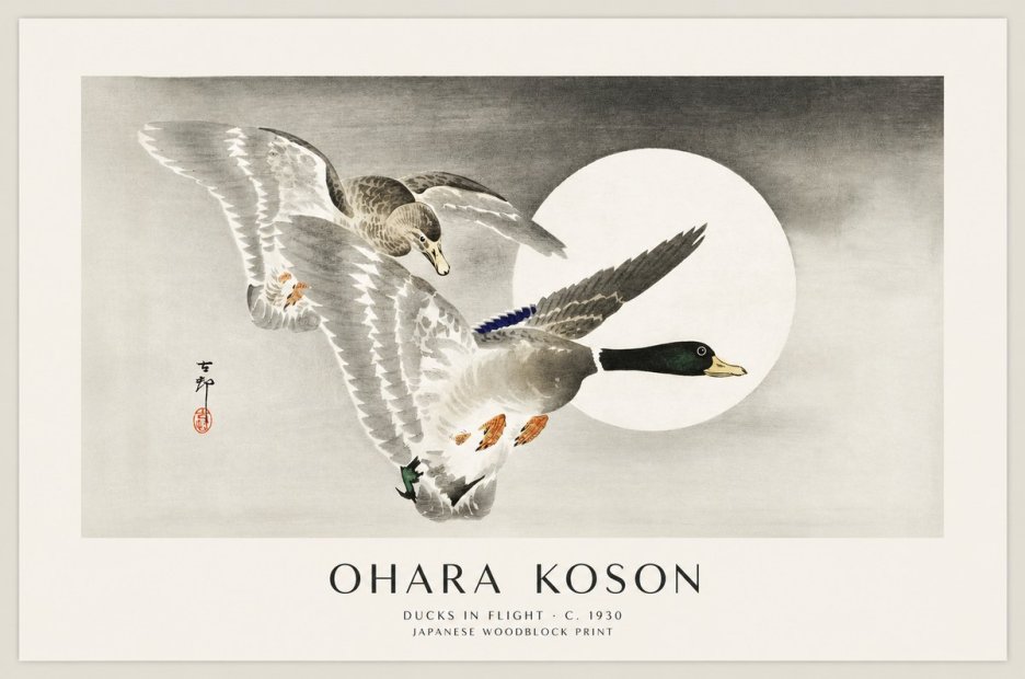 Ohara Koson Ducks in Flight No1 - Juliste