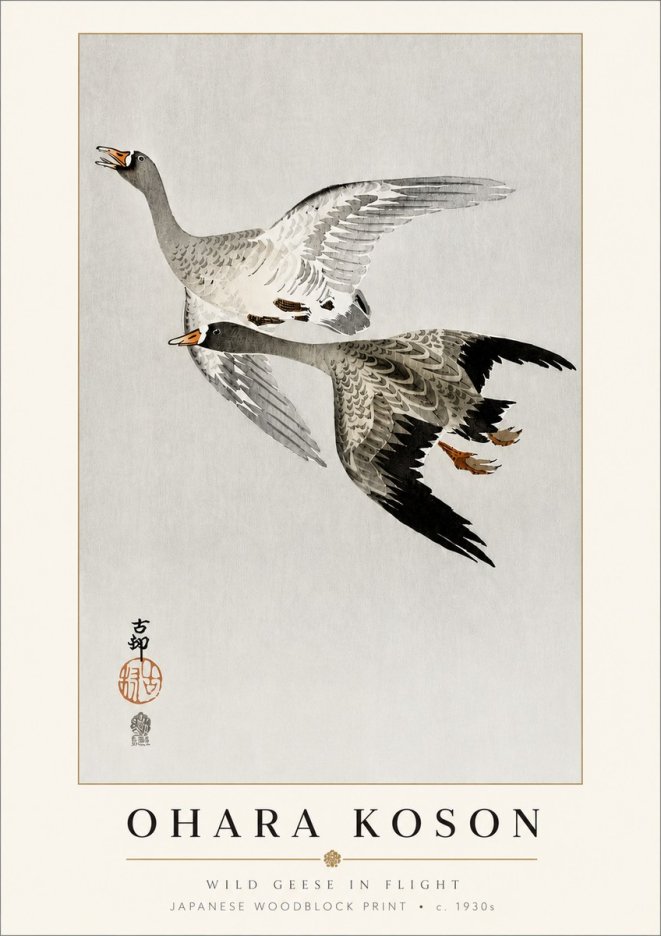 Ohara Koson Wild Geese in Flight III No3 - Juliste
