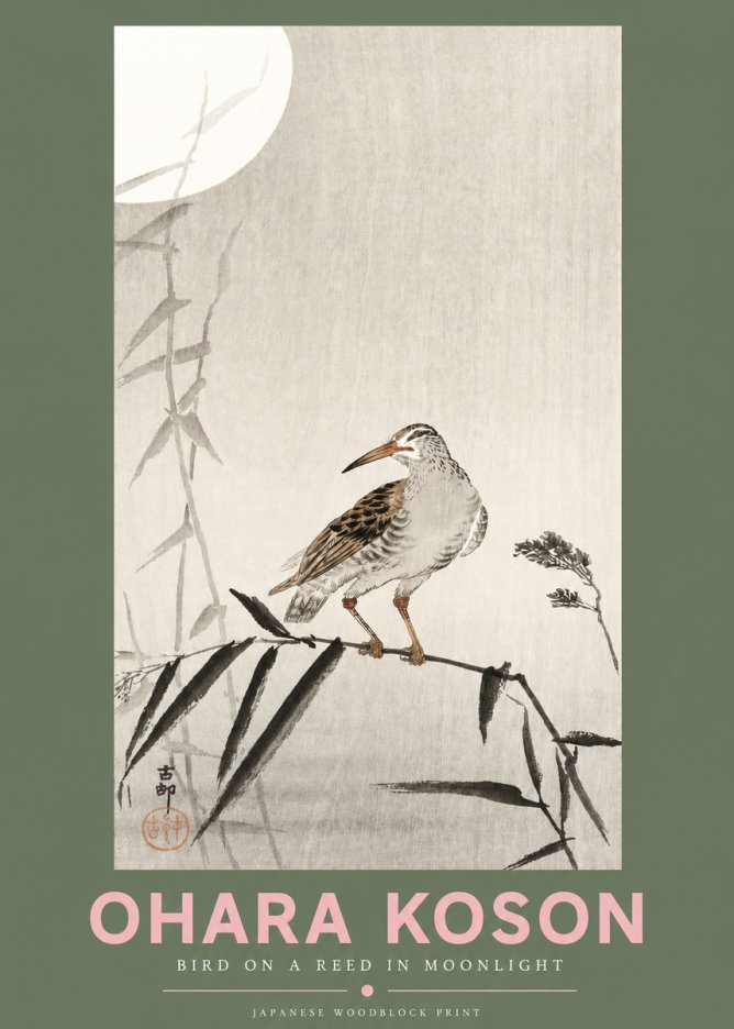 Ohara Koson Bird on a Reed in Moonlight No3 - Juliste
