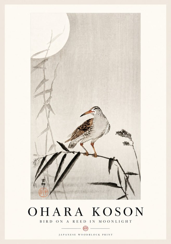Ohara Koson Bird on a Reed in Moonlight No4 - Juliste